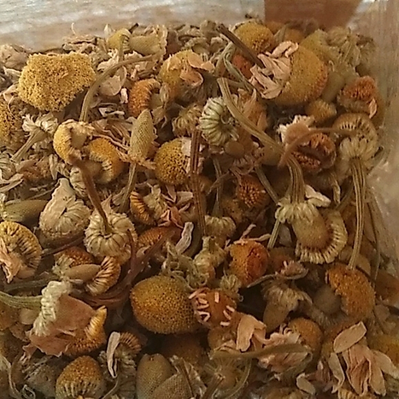 Chamomile (Whole flower) - Picture 2 of 2